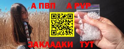стаф Кинель