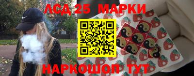 стаф Кинель
