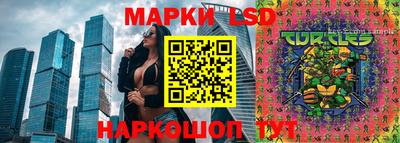 бошки Кингисепп