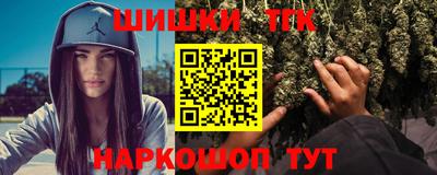 бошки Кингисепп