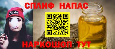 бошки Кингисепп