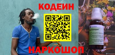 бошки Кингисепп