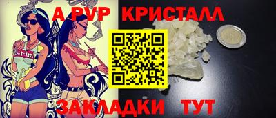 бошки Кингисепп