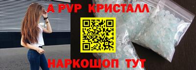 бошки Кингисепп