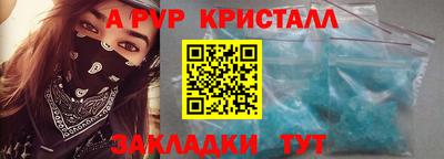 бошки Кингисепп