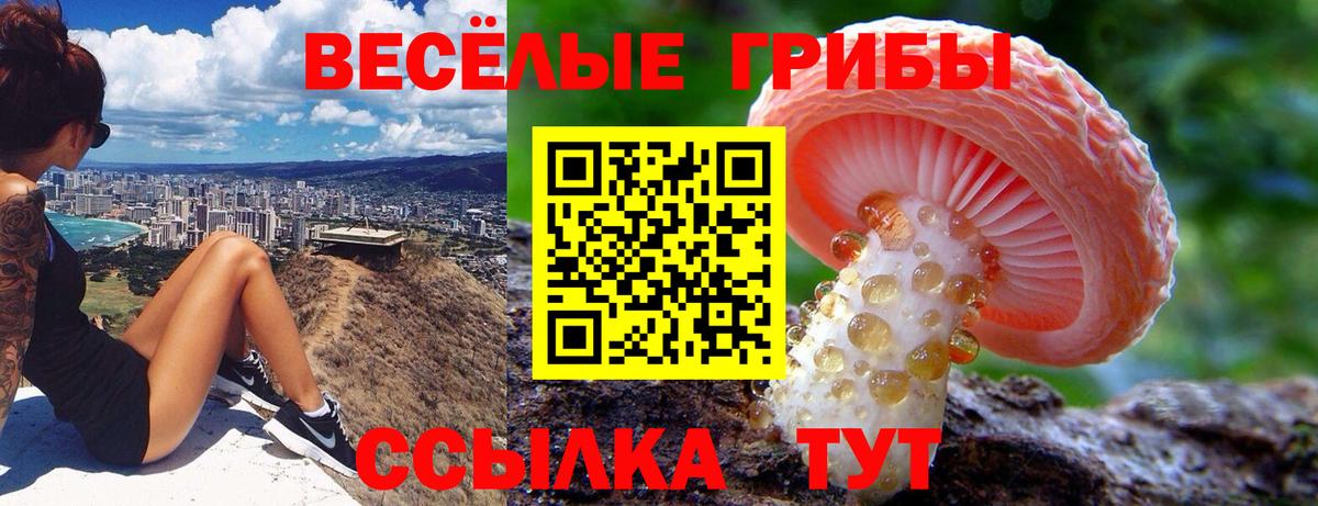 Галлюциногенные грибы Cubensis Кропоткин